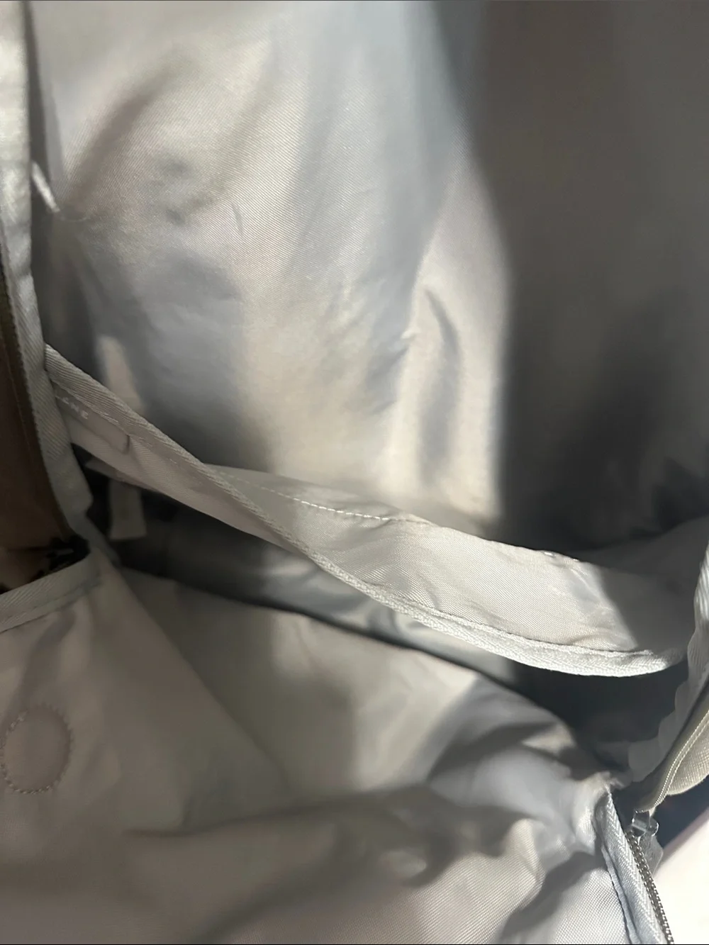 Everlane Renew Transit Backpack